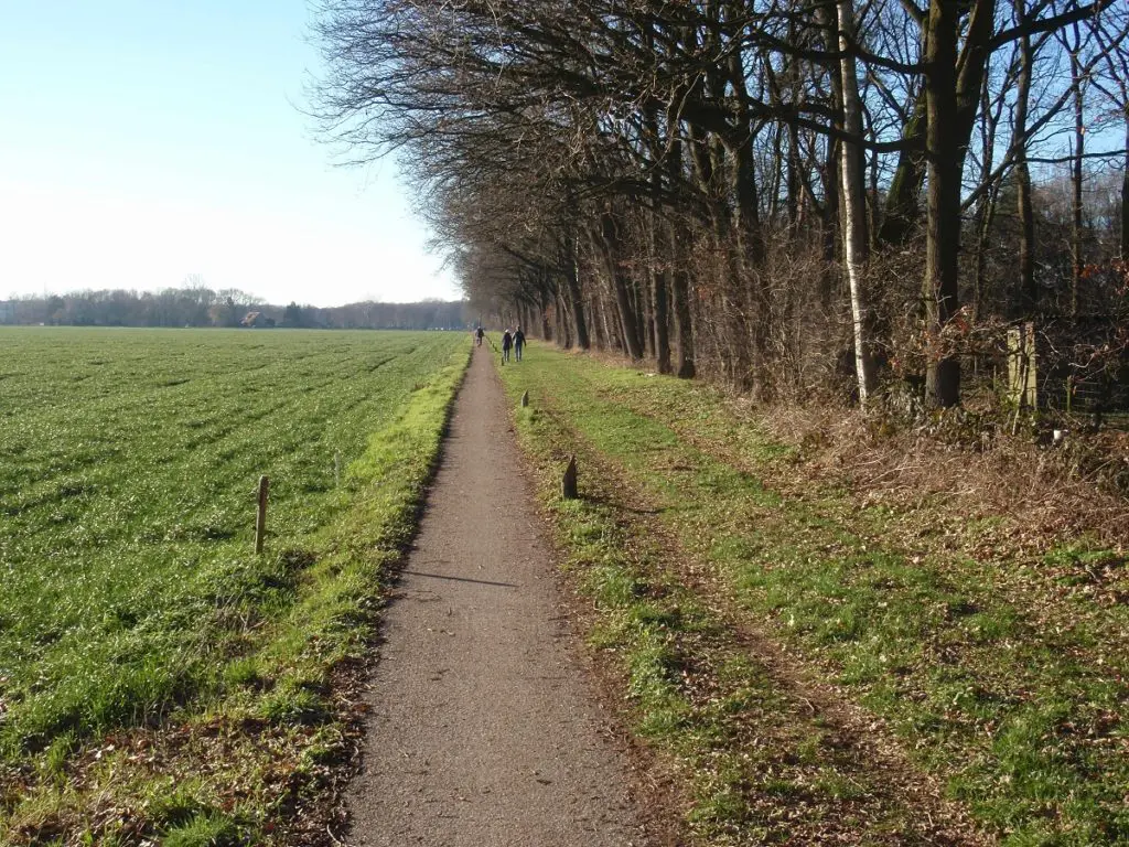 Sporen uit het Verleden 20