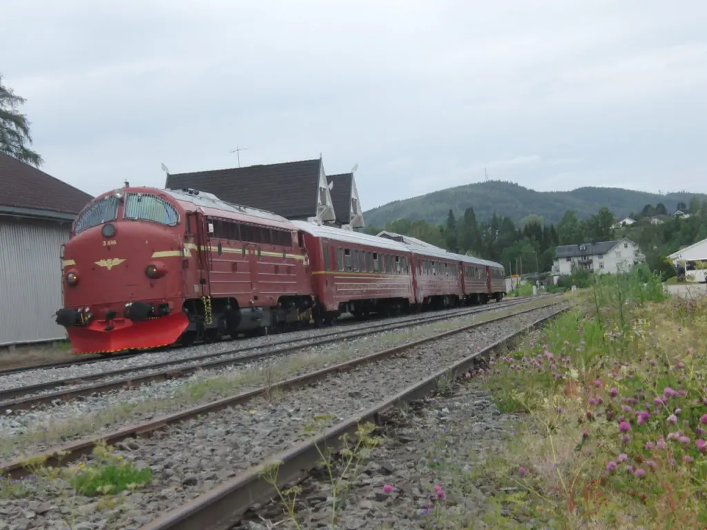 Verslag Zomerreis Scandinavië