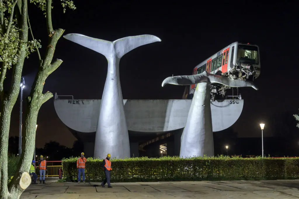 Foto van de maand – november 2020