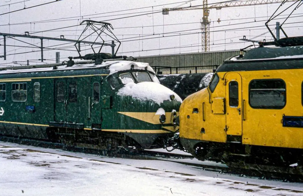 Hondekoppen in de sneeuw op Den Haag HS