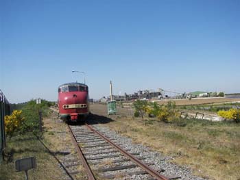 Koninginnedagrit 2007