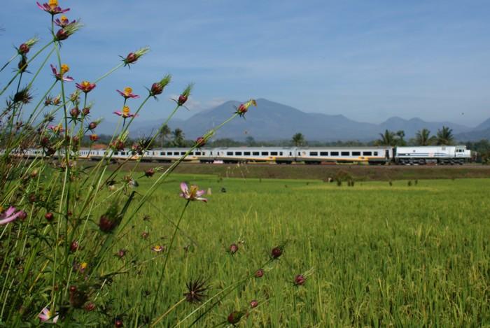 66 jaar Indonesische spoorwegen — Het begin van een nieuw tijdperk