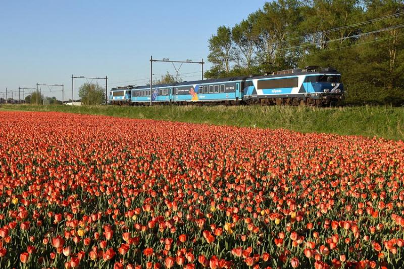 Treinen in de Bollenstreek