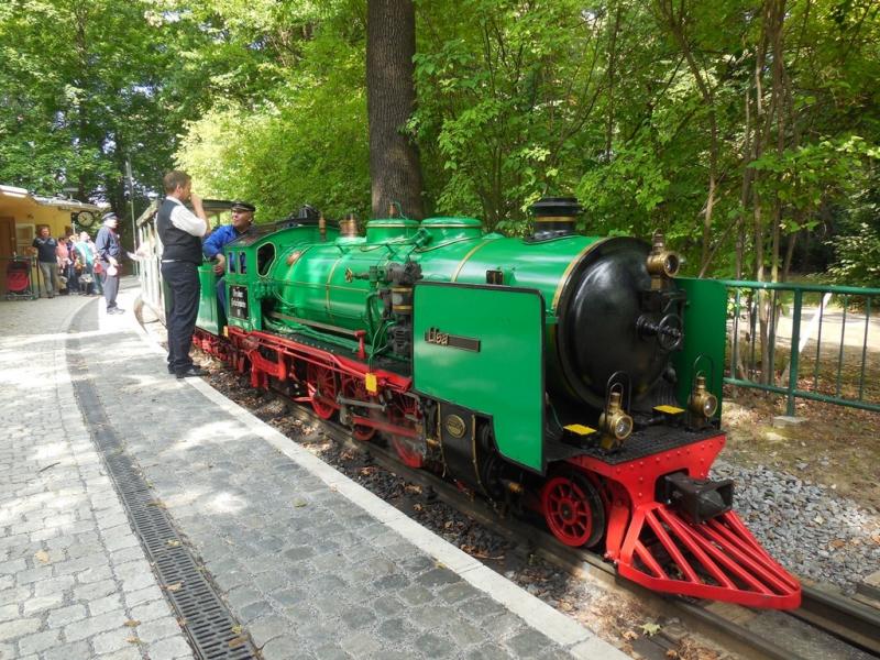 Jaarvergadering en meebrengavond.