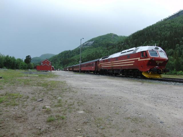 De enige dagtrein Bodø-Trondheim is gelukkig geen Talent, maar een echte langeafstandstrein met Di4-loc en vijf rijtuigen, sommigen zelfs uit de jaren vijftig. We zitten er bijna 10,5 uur in en leggen in die tijd 729 km af. 's Nachts rijdt dezelfde trein, aangevuld met twee ligwagens, terug naar het noorden.Om 14:30 steken we de poolcirkel over op weg naar het zuiden. Kort daarna staan we een tijdje in Dunderland te wachten op de tegentrein. Uiteindelijk komen we met +20 om 22:30 aan in Trondheim.Foto: Theo Gramser Periode: juli 2010