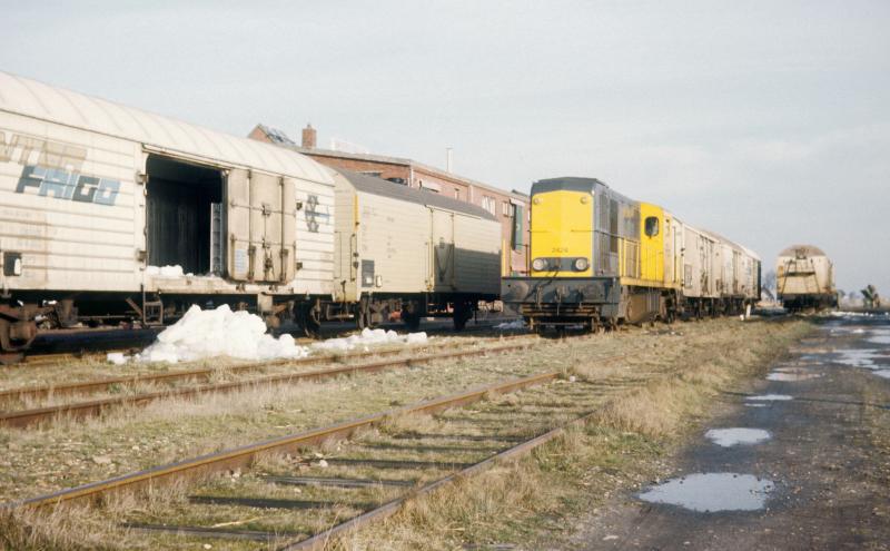 In Holwerd moesten de ZPC-medewerkers flink aan de bak om tijdens het rangeren de koelwagens van ijs te ontdoen (anders bevriezen de aardappelen) en de wagens te beladen. Loc 2424 wacht rustig af totdat dit werk is gebeurd. Daarna zou de ‘laatste' rit plaatsvinden. Foto: Wietse Hoekstra.
