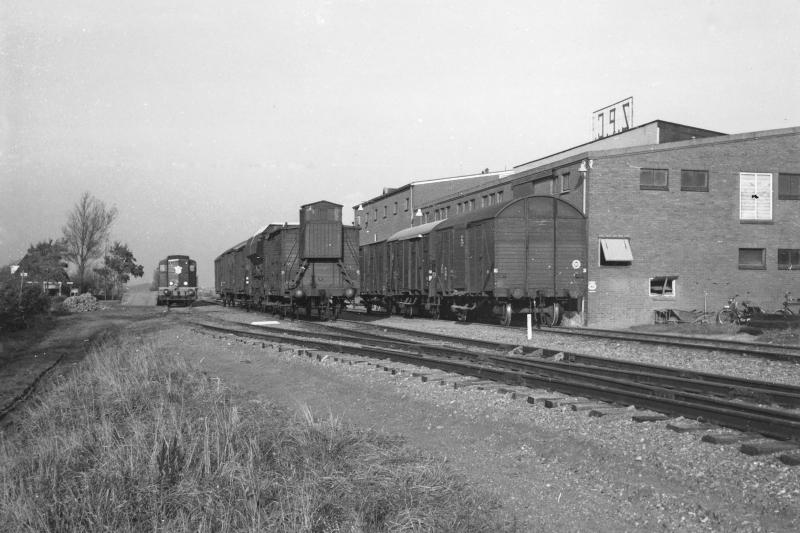 Hallum met de 2429 eveneens rangerend op 1 november 1966. Tijdens de aardappelcampagne in de herfst en winter reden niet zelden treinen met vijftig wagons op de NFLS-lijnen. Soms waren drie tot vier treinen nodig om al de wagons te plaatsen en beladen weer naar Leeuwarden te brengen op weg naar het buitenland.