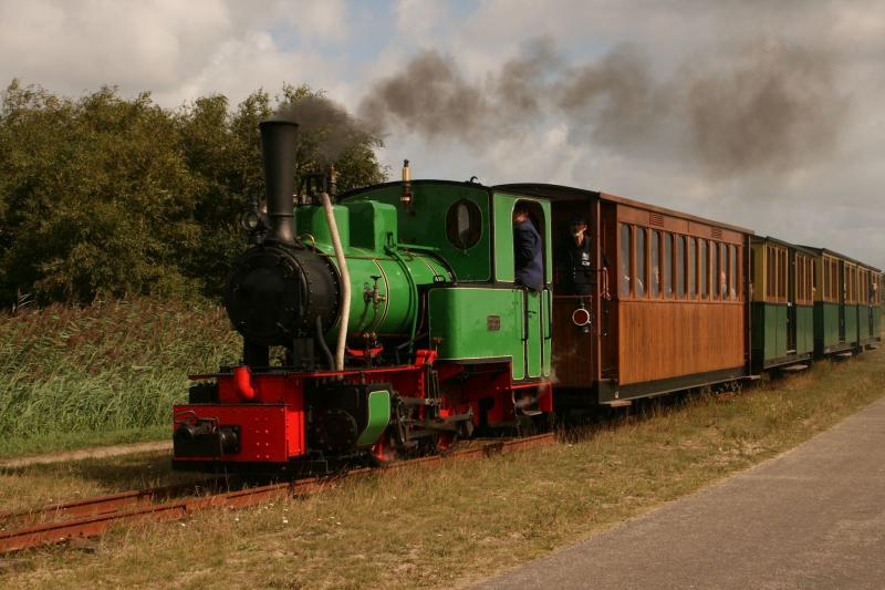 Loc 8 (Henschel) is met een personentrein op weg aan de achterzijde van het meer.