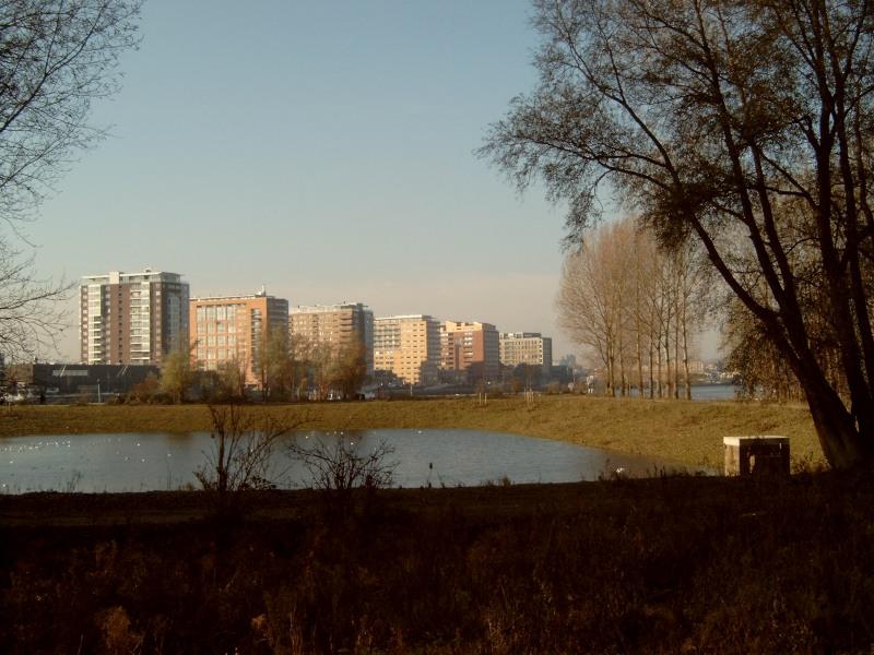 Het voormalige bouwdok op het eiland Van Brienenoord; destijds een drukke blouwplaats, nu een rechthoekige vijver in het groen.