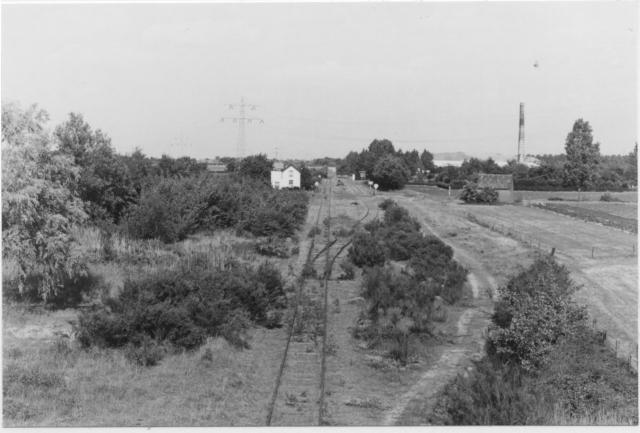 Kruispunt Beugen, gezicht op het voormalig emplacement vanaf de spoorlijn Nijmegen - Venlo; gezicht richting Gennep. Het is alweer vier jaar geleden dat hier de laatste trein passeerde.Hebt u belangstelling voor andere foto's uit het SNR/NVBS-foto-archief? http://nvbs.com/Documentatie/Fotobureau.htmFoto: foto 5394.1070 A Periode: 13 juni 1976