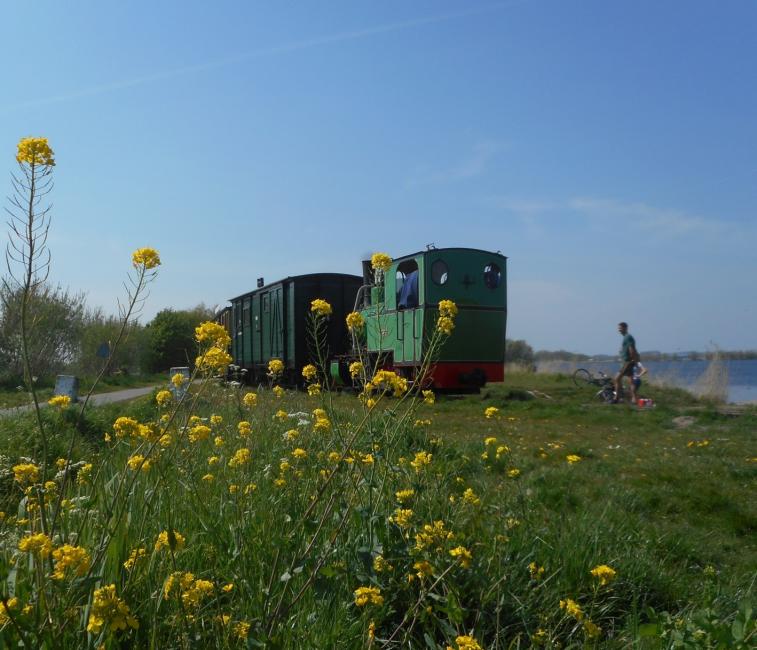 Het treintje op de terugweg langs het meer.