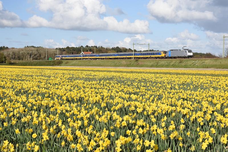 Bij Hillegom is de spoordijk prominent in het landschap aanwezig. Ter hoogte van de Nieuweweg is op 17 april 2016 een omgeleide Beneluxtrein op weg naar Leiden. Achter de trein is nog net het dak te zien van de twee huisjes die aan de oostkant van de overweg staan.