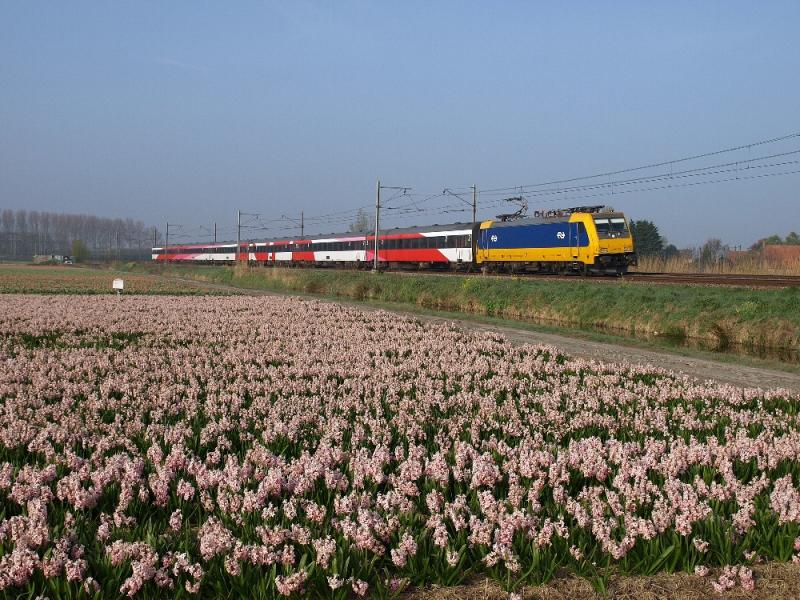 De oostzijde van de boog van de Schiphollijn is een bekend fotopunt. Door de boog kun je de treinen meestal goed in beeld krijgen en er staan elk jaar wel andere bollen. Op 24 april 2015 ging ik tussen 07.00 en 08.30 uur even naar deze plek om een foto te maken van de Railpool 2861 in de Beneluxdienst. De trein kwam inderdaad voorbij, net als vier omgeleide Intercity Direct-treinen, die door een storing op de HSL werden omgeleid...