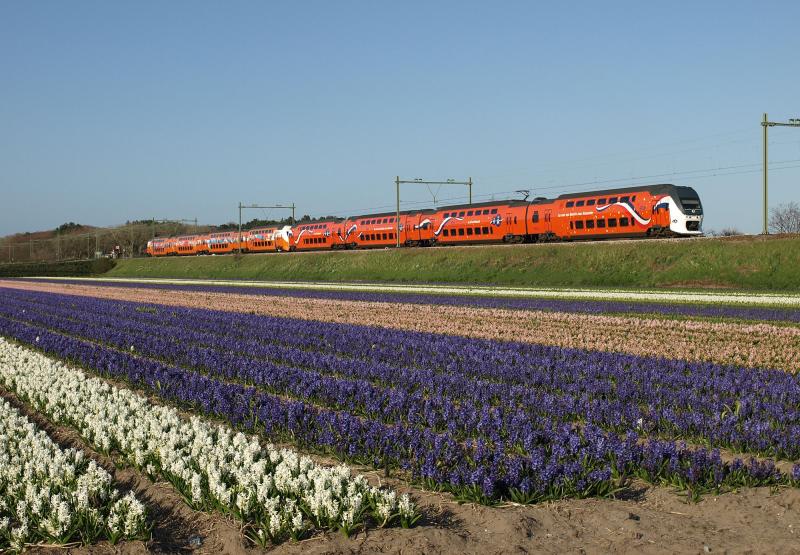 Terug naar de westkant. Op 29 april 2013 reden de hele dag de Olympische VIRM 9525 en de Koningstrein 9520 tussen Amsterdam, Den Haag en Dordrecht. Het moest er een keer van komen dat de beide treinstellen werden gekoppeld. En dat gebeurde. Aan het eind van de middag zijn de twee oranje treinstellen ter hoogte van de Nieuweweg onderweg naar Leiden.