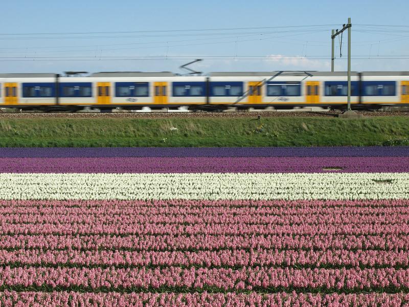 Vandaag de dag rijden er eigenlijk alleen nog VIRM- en SLT-treinstellen over de Oude Lijn door de Bollenstreek. De VIRM′s in de dienst van Amsterdam naar Den Haag en Dordrecht, de SLT′s in de stoptreinen van Haarlem naar Den Haag CS, met tussenstops in Hillegom en Voorhout. Als je alle treinen al hebt gefotografeerd, wordt het tijd voor wat kunstzinniger opnamen...