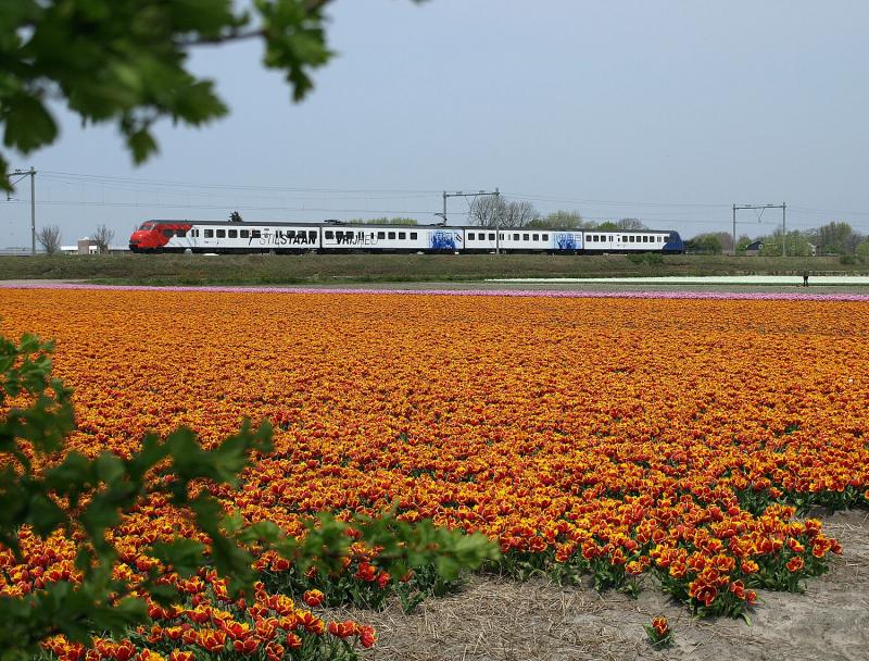 “Stilstaan bij Vrijheid” staat er in grote letters op het treinstel Plan T dat in 2010 dienstdeed als rijdende expositieruimte ter gelegenheid van de 65e viering van de bevrijding. Bij de Pastoorslaan, iets ten noorden van het station Hillegom, is het treinstel vastgelegd tijdens een rit van Haarlem naar Den Haag. Deze foto is nu niet meer mogelijk. Om redenen die waarschijnlijk alleen bekend zijn bij het Opperwezen, heeft ProRail besloten een hek te plaatsen OP, in plaats van aan de voet van de spoordijk, waardoor dit uitzicht definitief is verprutst. Aan de zuidkant van de spoorwegovergang in de Pastoorslaan/Loosterweg staan de groene hekken wel aan de voet van de spoordijk.