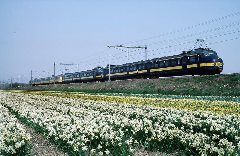 Het was een mooie dag in het voorjaar van 1986; het laatste voorjaar waarin de Beneluxtreinen via de Oude Lijn van Amsterdam naar Leiden reden. Met de zomerdienstregeling van dat jaar werd deze dienst verlegd naar de kort hiervoor in gebruik genomen Schiphollijn. Aan het eind van de middag is een lange spitsuurtrein met twee blauwe Benelux-hondekoppen en een vierdelig coach-stel onderweg naar Leiden.