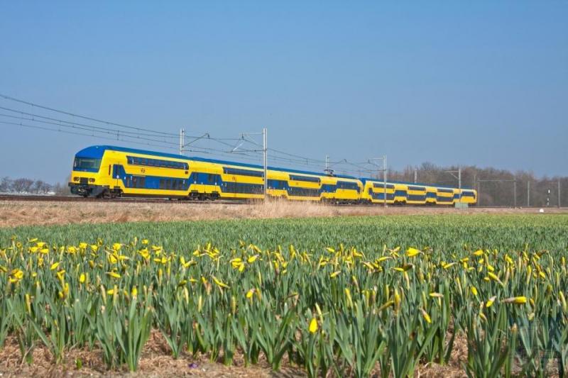 Als je tegenwoordig in een trein van NS stapt, is de kans groot dat het een dubbeldekker is. Het aantal reizigers is de laatste jaren door verschillende oorzaken dermate toegenomen, dat dit treintype de vervoersvraag het beste aankan. NS begon met dubbeldeksrijtuigen getrokken door een eloc waarna de dubbeldekstreinstellen verschenen. Als uitvloeisel van de strategie van NS om zo veel mogelijk met treinstellen te rijden, werden uit de eerste serie dubbeldeksrijtuigen en reeds bestaande motorwagens nieuwe treinstellen geformeerd, met een fraai nieuw en modern interieur. Op 15 maart 2012 zien we zo'n treinstel, DDZ genaamd, ter hoogte van Warmond op weg naar Den Haag, gefotografeerd door Maarten Otto.
