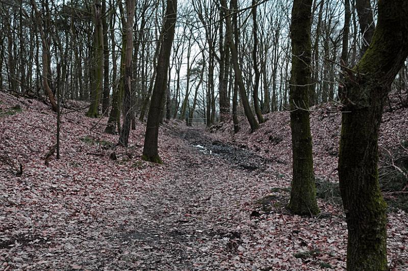 ingraving bij Lunteren