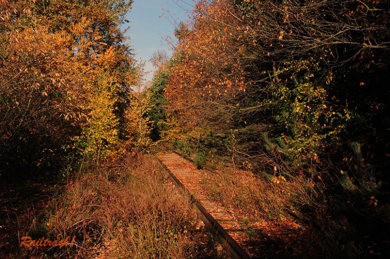 voormalige NBDS-lijn