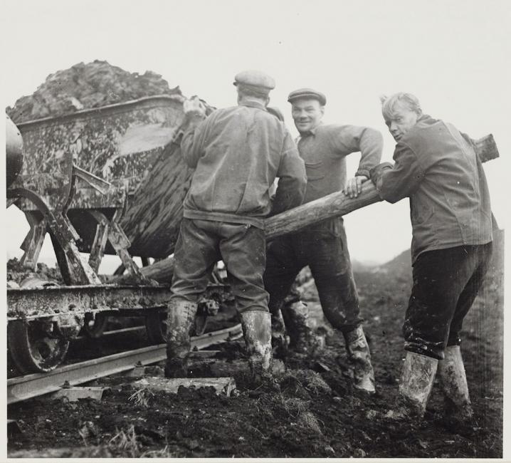 Aanleg van het Amsterdamse Bos