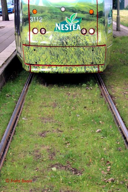 Den Haag, Statenlaan 13 augustus 2016