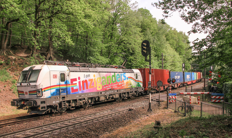 Foto van de maand – juni 2021