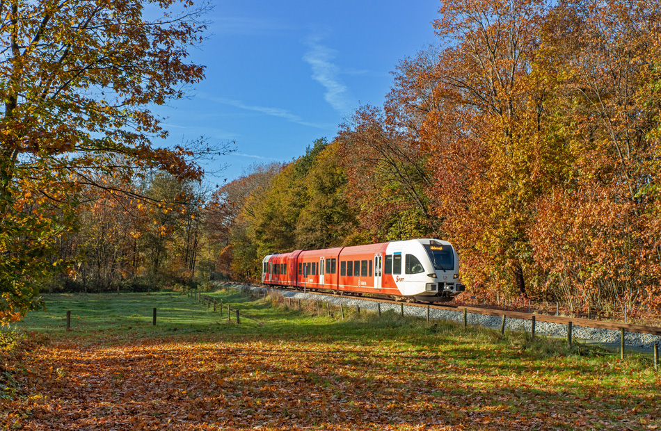 Foto van de maand – november 2021