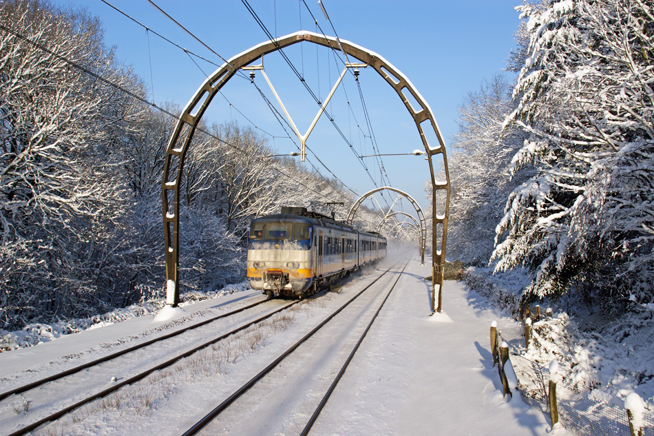 Foto van de maand – december 2022