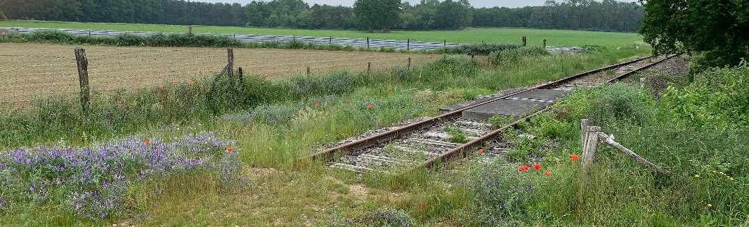Met het stalen ros langs de IJzeren Rijn