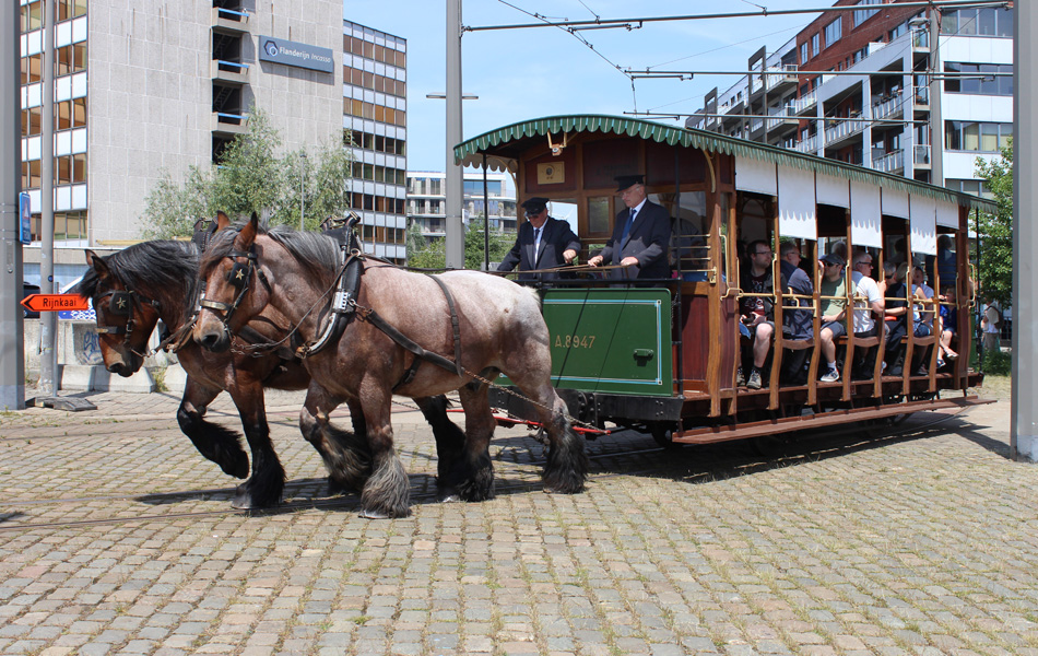 Foto van de maand – juni 2023