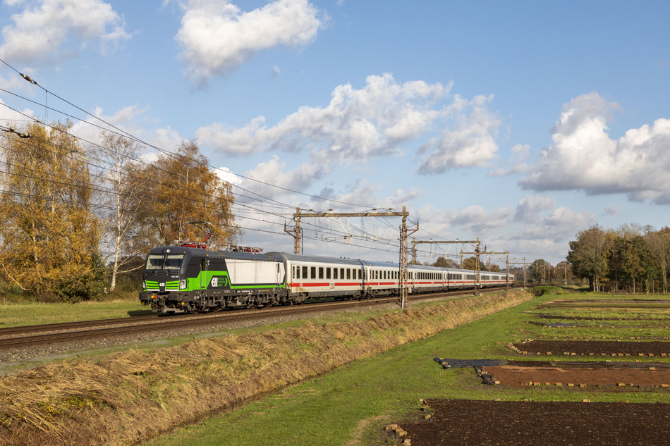 Foto van de maand – juli 2023