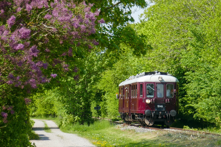 NVBS Actueel – augustus 2023