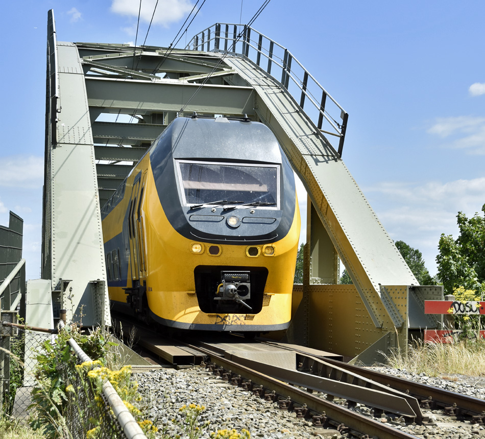 Foto van de maand – juli 2024