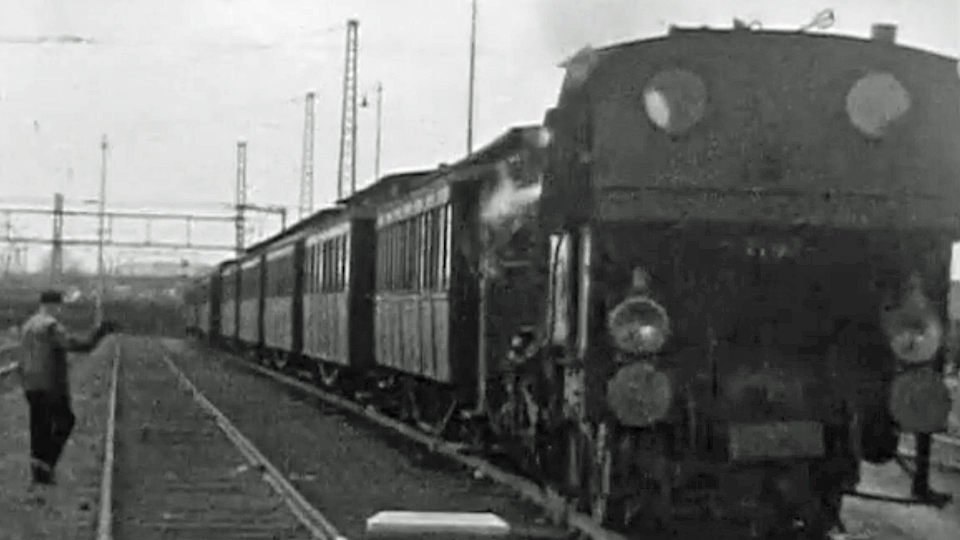 “Bello” – veertig jaar SHM (2008)