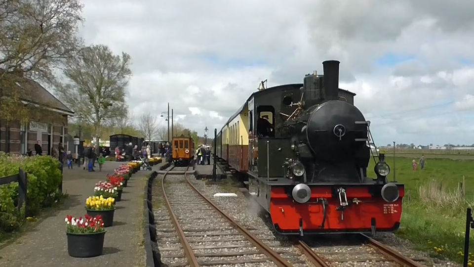 Ooievaarsdag bij de SHM (2014)