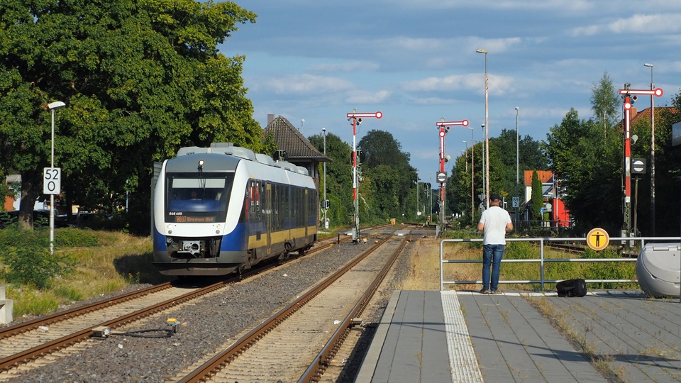 > Sporen op de Lüneburger Heide