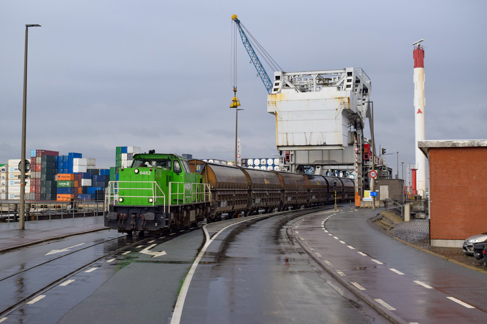 Foto van de maand – maart 2026