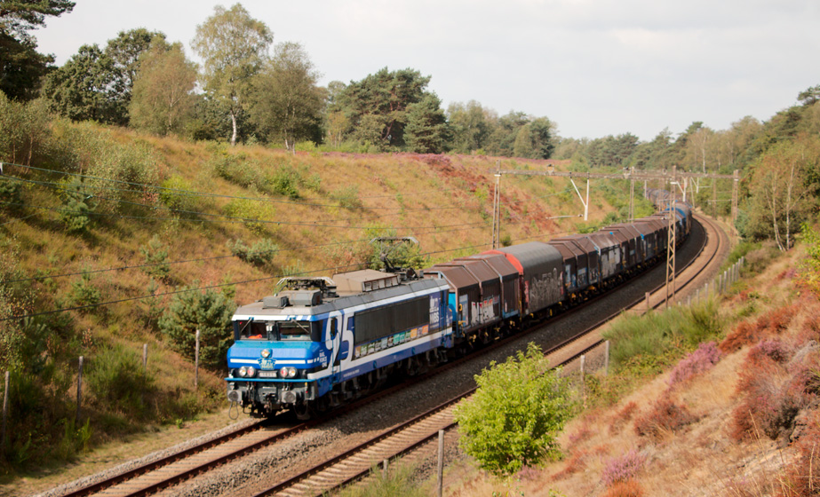Foto van de maand – september 2026