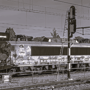 Oliebollen uit Amersfoort (niet-lid)