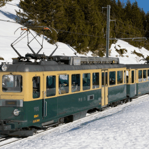 Winterreis 2026: Gedeelde tweepersoonskamer