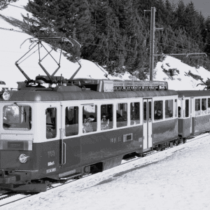 Winterreis 2026: Gedeelde tweepersoonskamer (niet-lid)